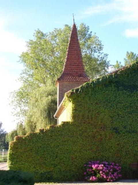 Bed and Breakfast Le Platane Lafrancaise Экстерьер фото